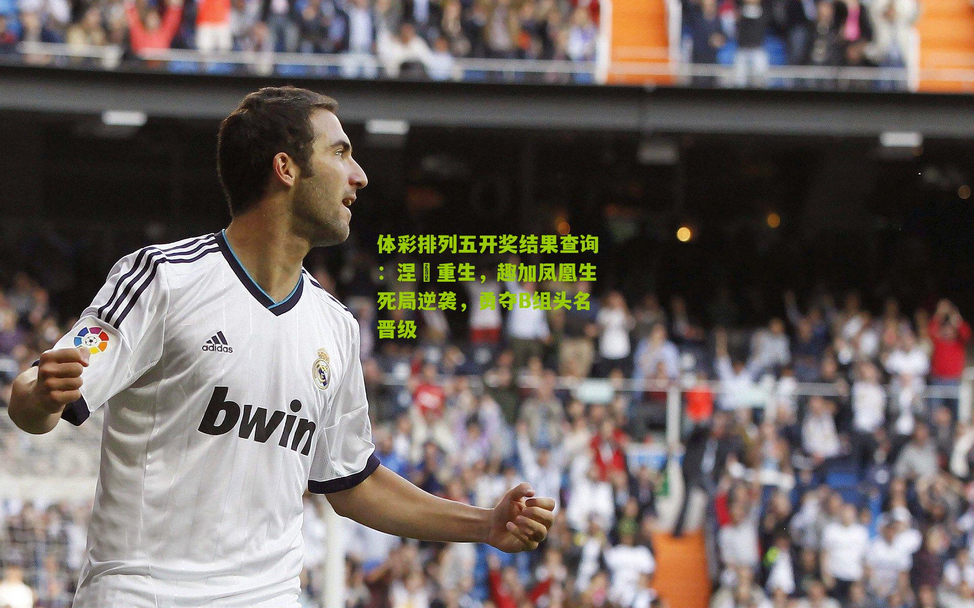 涅槃重生,趣加凤凰生死局逆袭,勇夺B组头名晋级