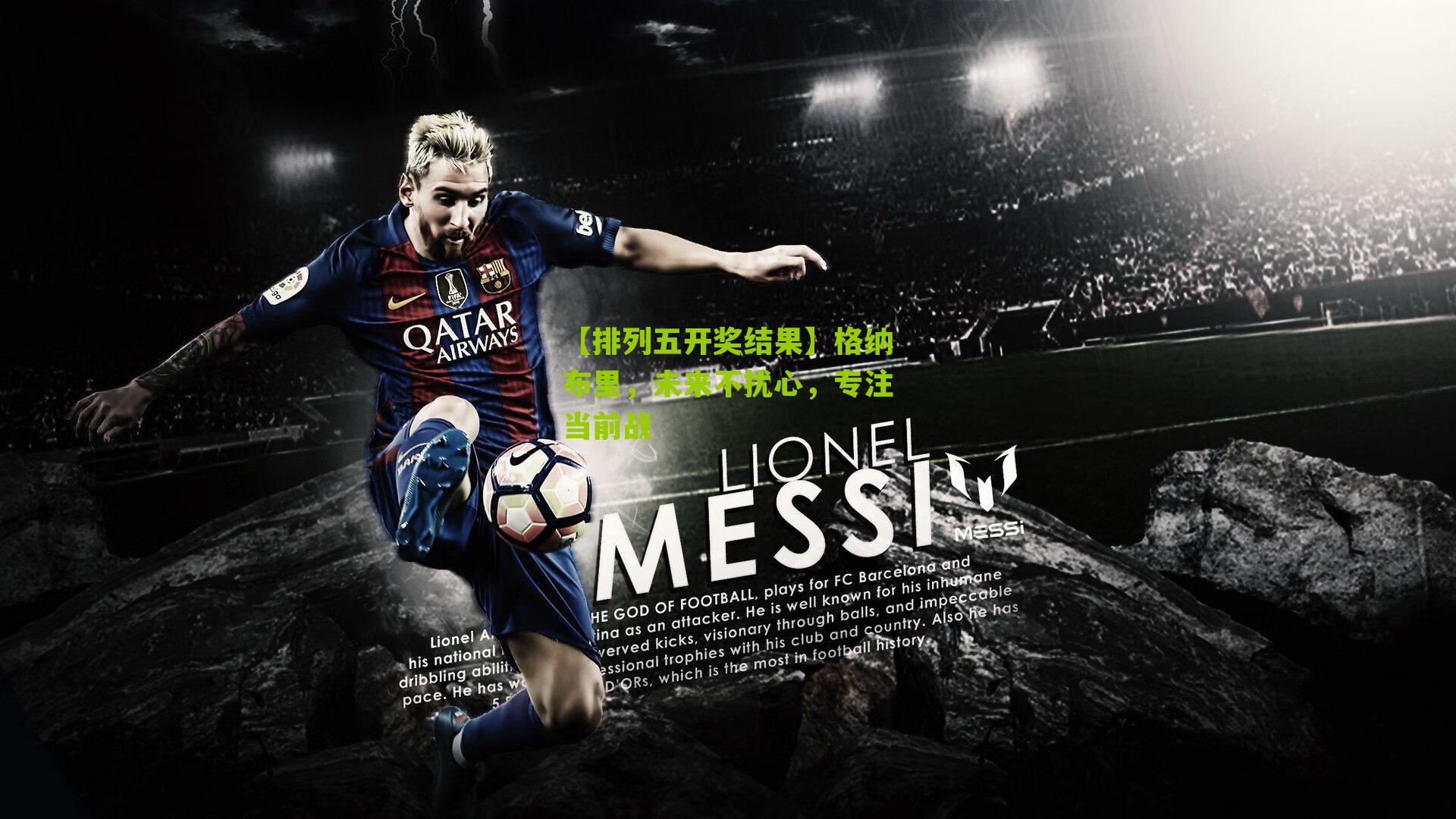 格纳布里，未来不扰心，专注当前战